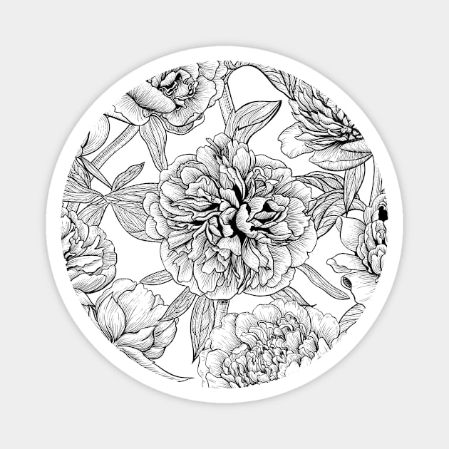 Peony flowers, black and white Magnet by katerinamk